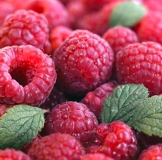 Gavekort på kr. 1000 til Lundhede.com